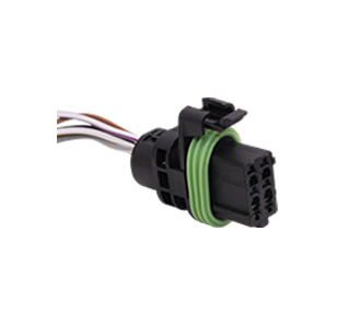 Chicotes - 919.5107-6