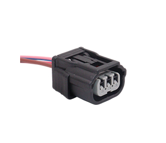 Chicotes - 919.5971-3