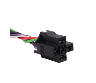 Chicotes - 919.7595P-5