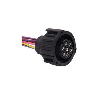 Chicotes - 919.7665-7