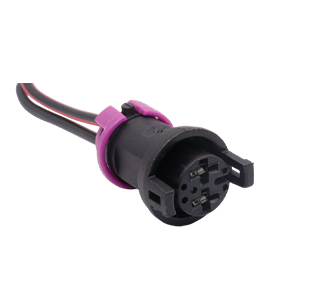 Chicotes - 919.7751-2