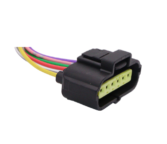 Chicotes - 919.7773-6