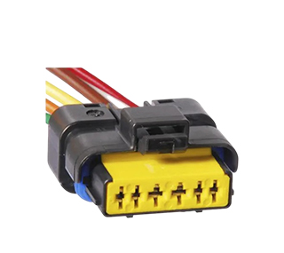 Chicotes - 919.7785-6