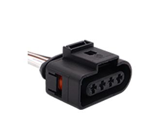 Chicotes - 919.7789-4