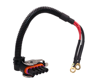 Chicotes - 919.8599-5