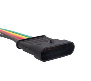 Chicotes - 919.9755-6